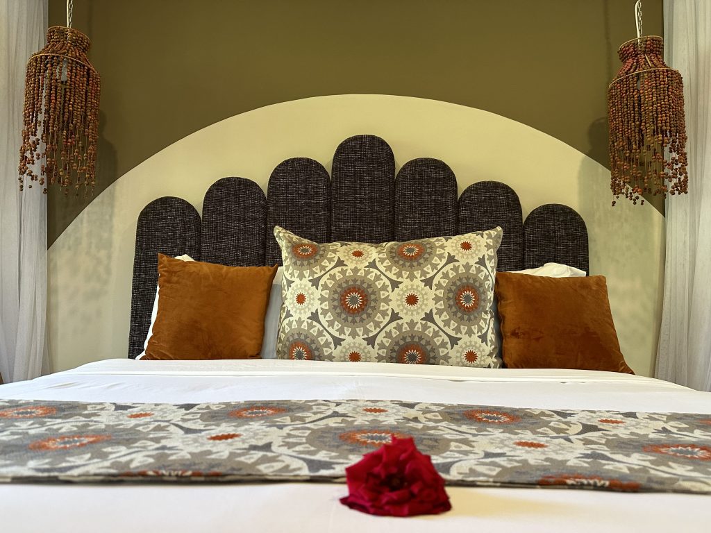 Arusha Planet Lodge 5