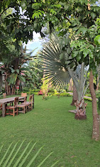 Arusha Planet Lodge 14