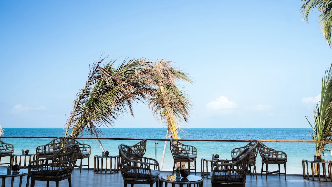 Diamonds Dream of Zanzibar 3