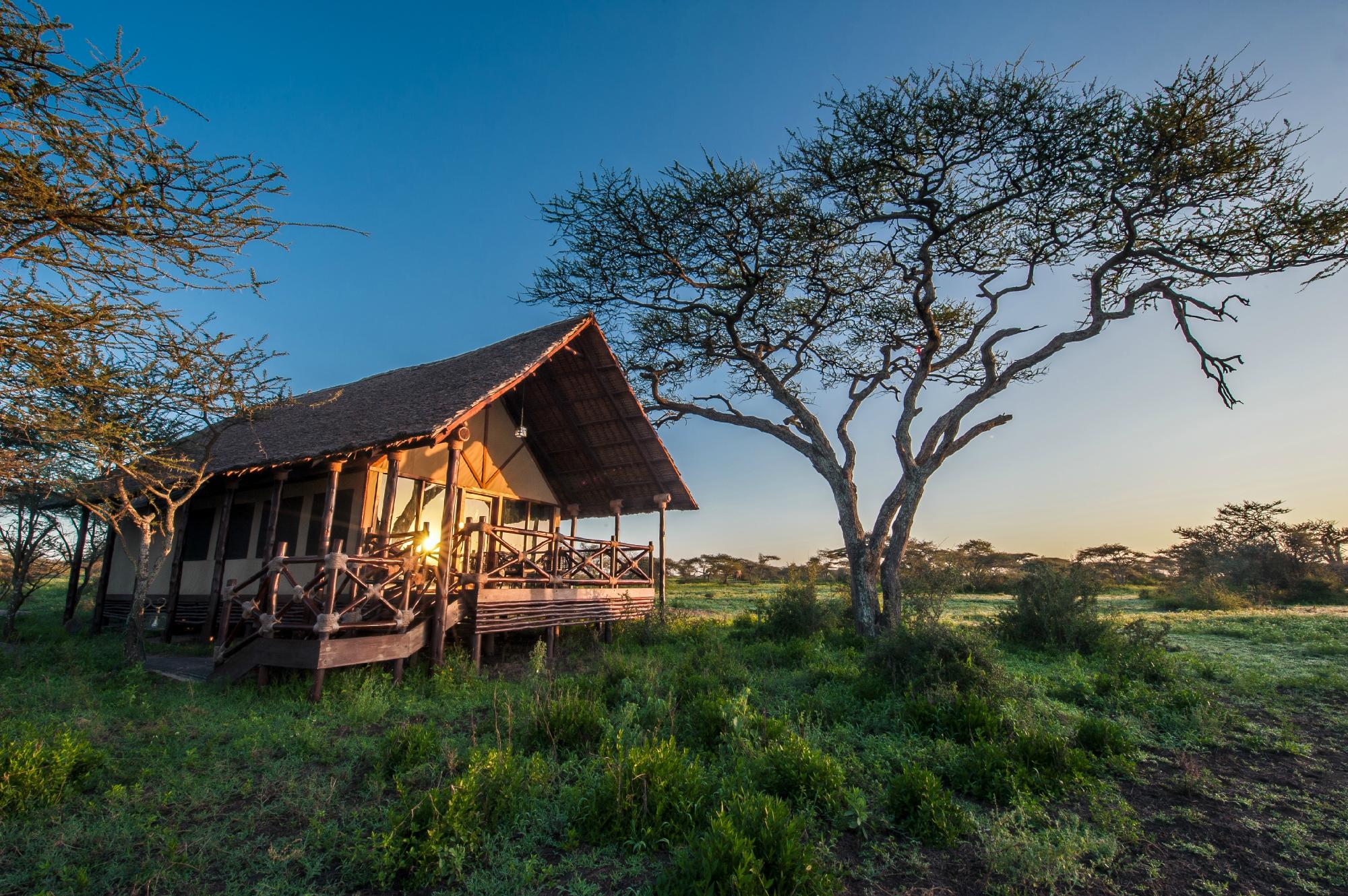 Lake Ndutu Tented Lodge 3