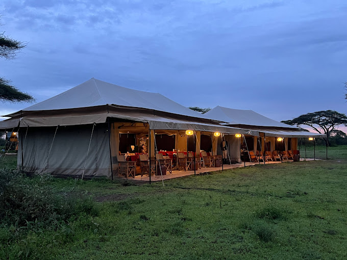 Ang'ata Migration - Ndutu Camp