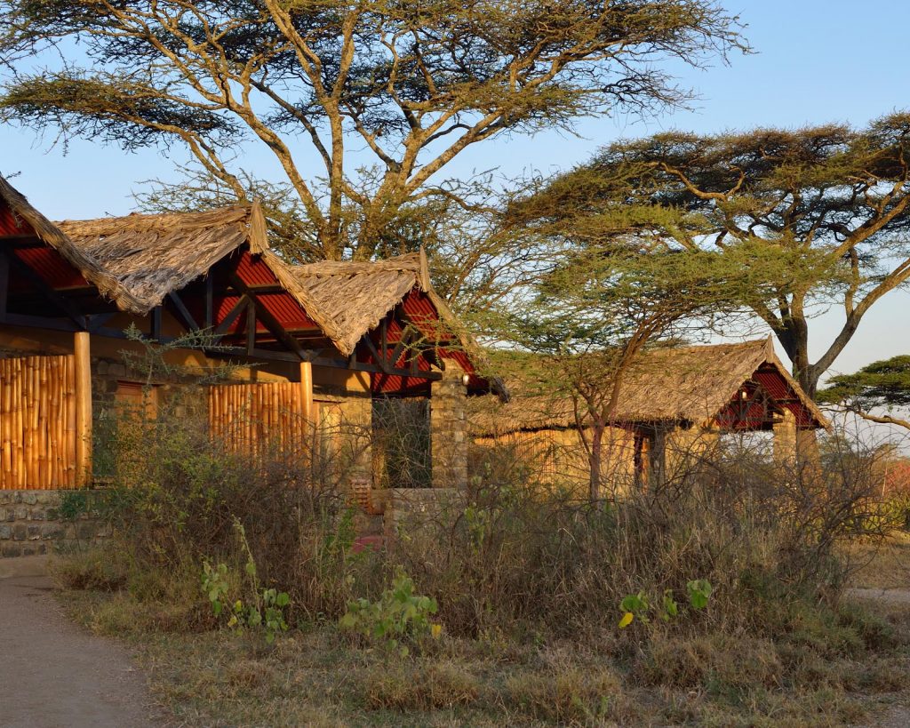Ang'ata Migration - Ndutu Camp 8