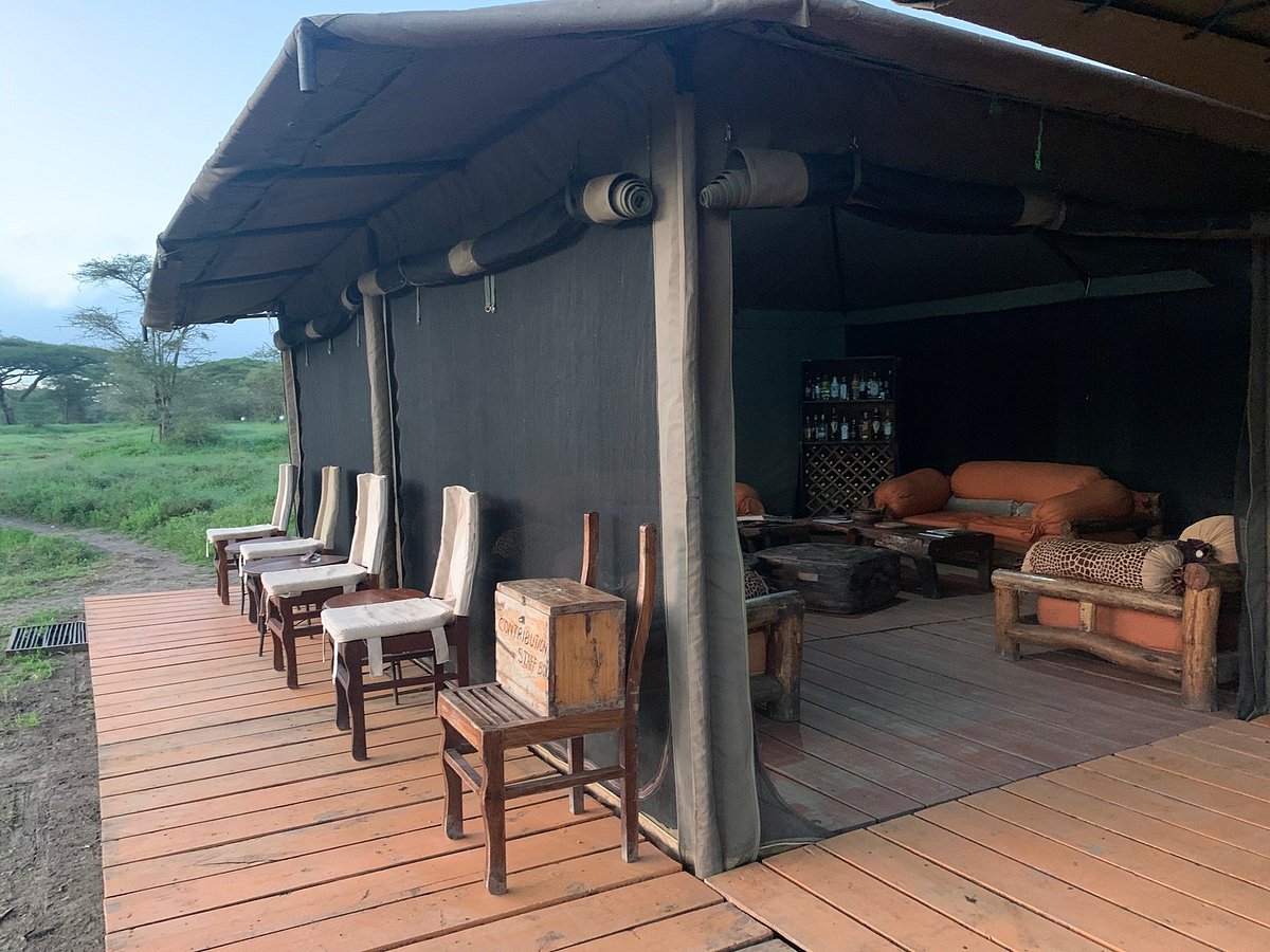 Ang'ata Migration - Ndutu Camp 9