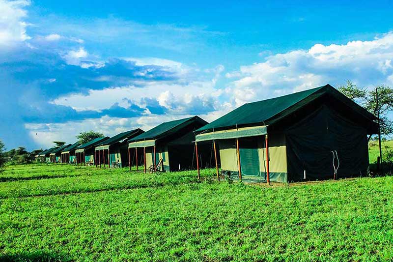 Ndutu Heritage Camp 5