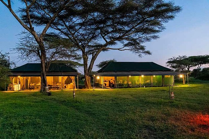 Ndutu Heritage Camp 4
