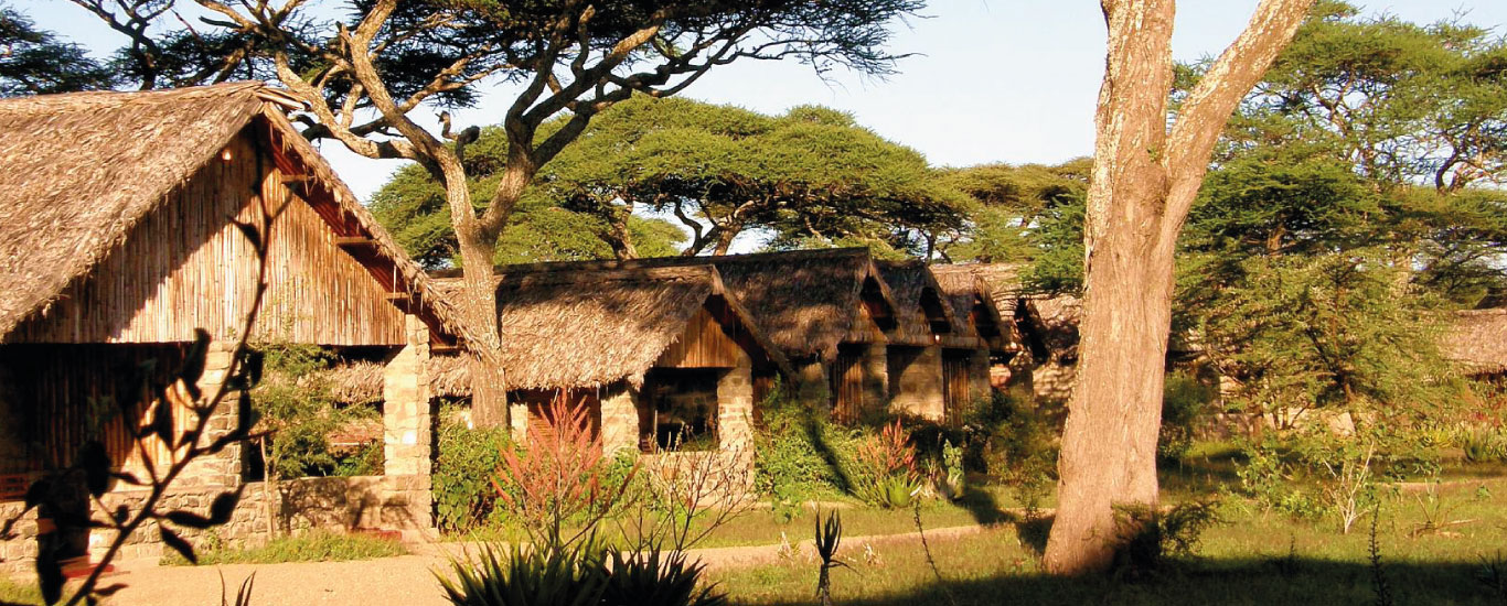 Ndutu Safari Lodge 5