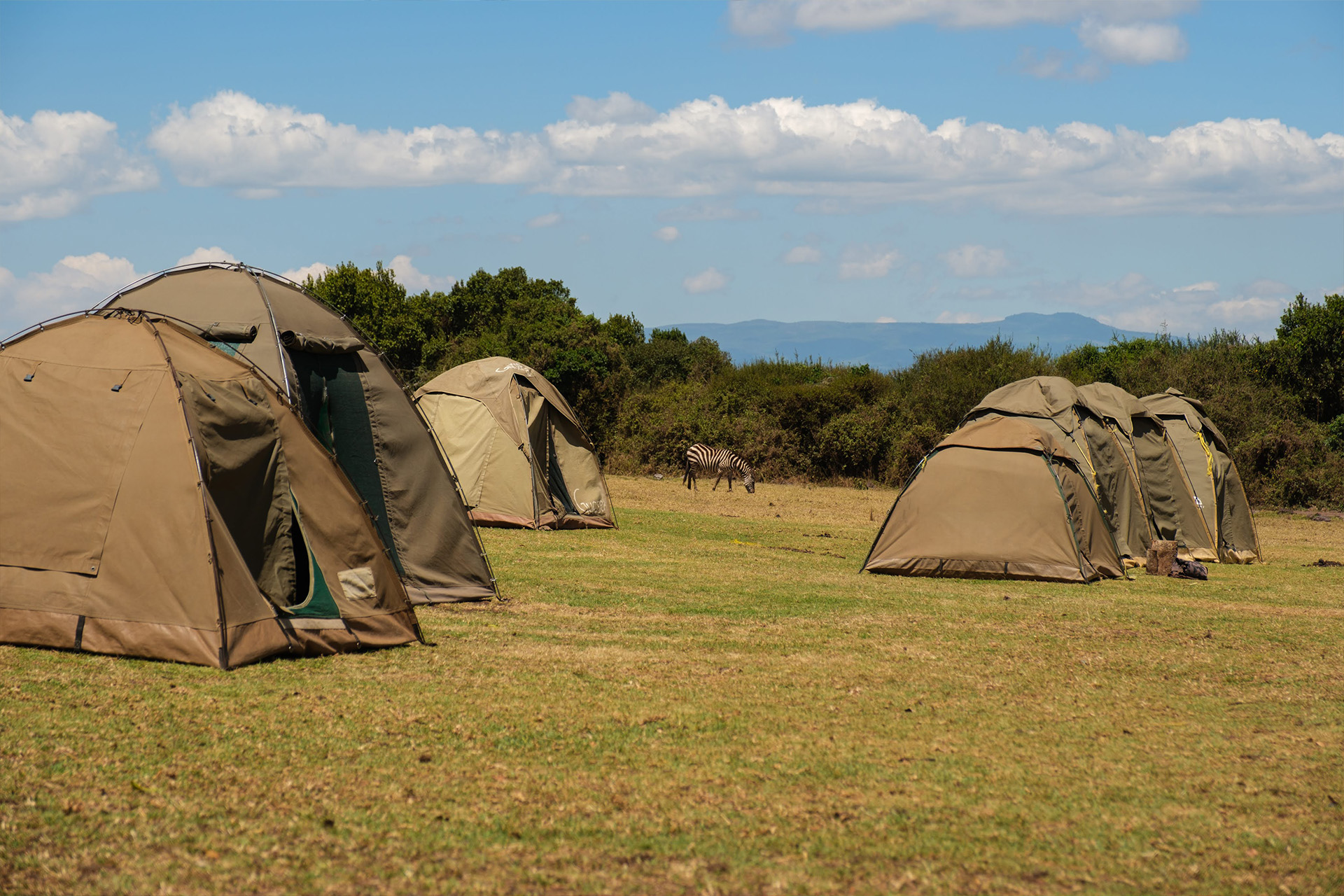 Simba Campsite