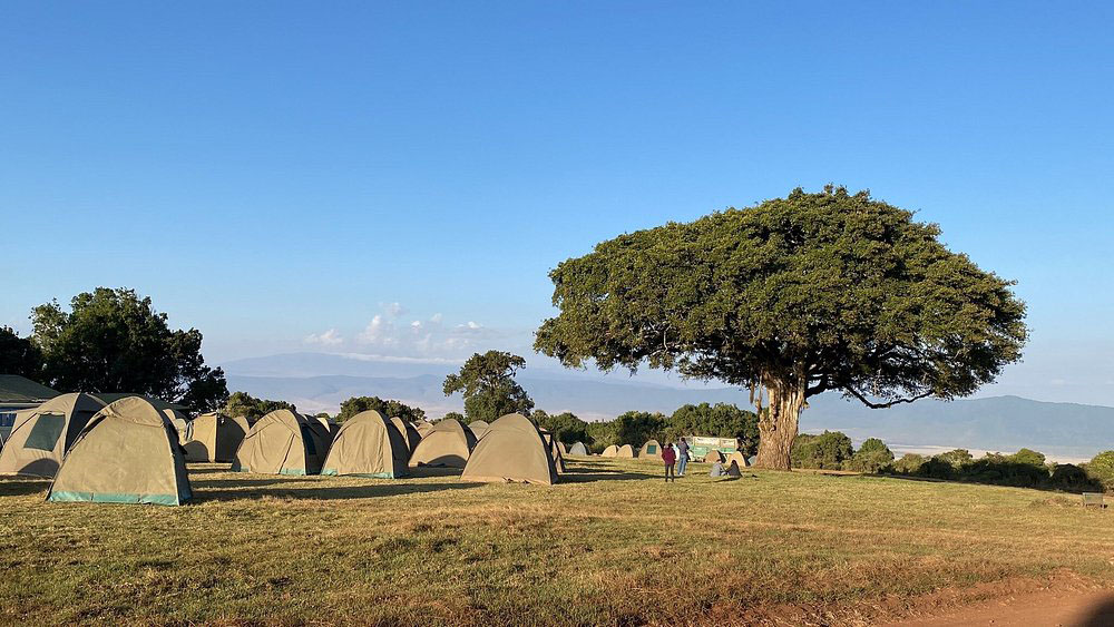 Simba Campsite 3