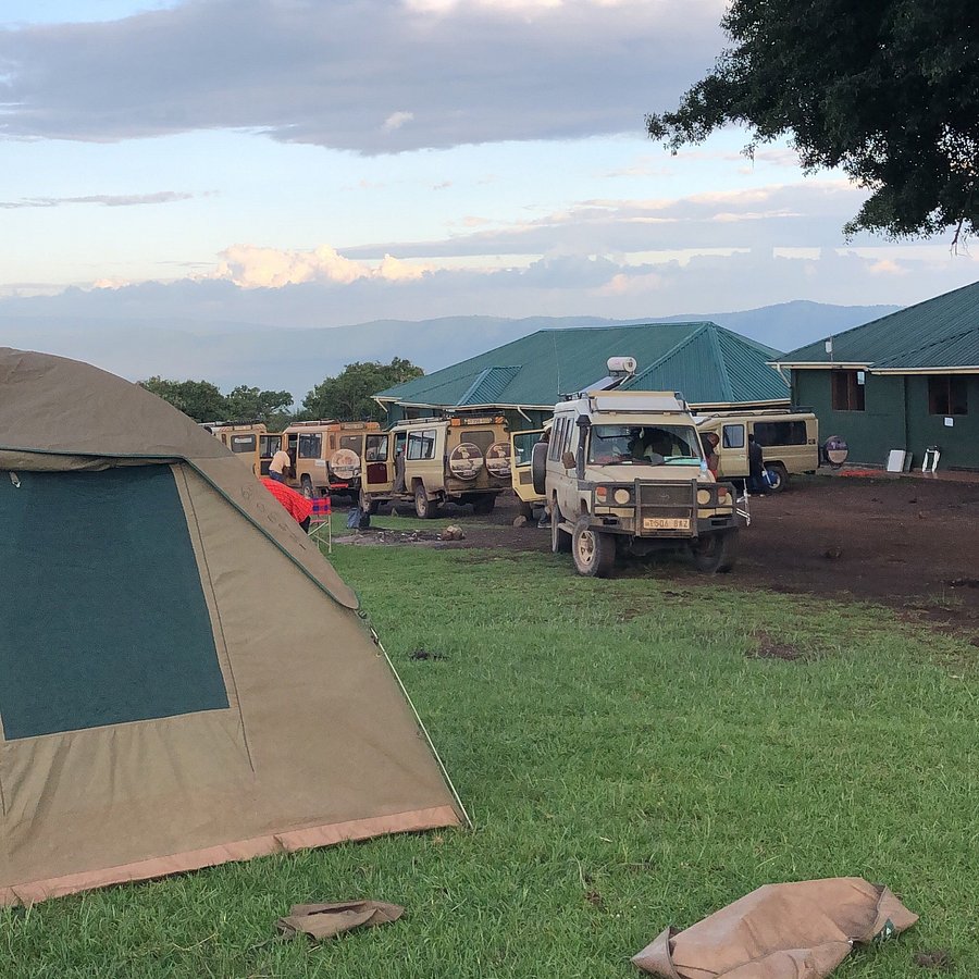 Simba Campsite 4
