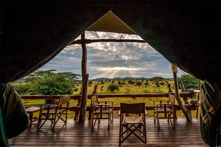 Ngorongoro Lion Paw Camp 2