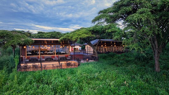 Ngorongoro Lion Paw Camp 6