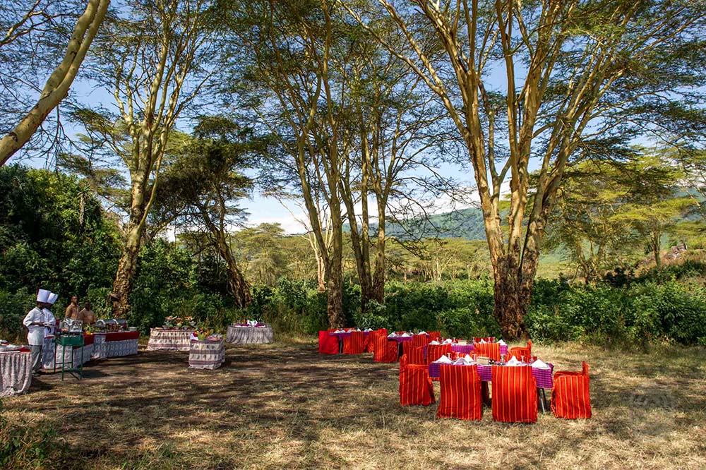 Ngorongoro Serena Safari Lodge 6