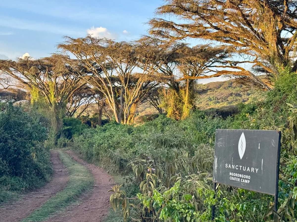 Sanctuary Ngorongoro Crater 8