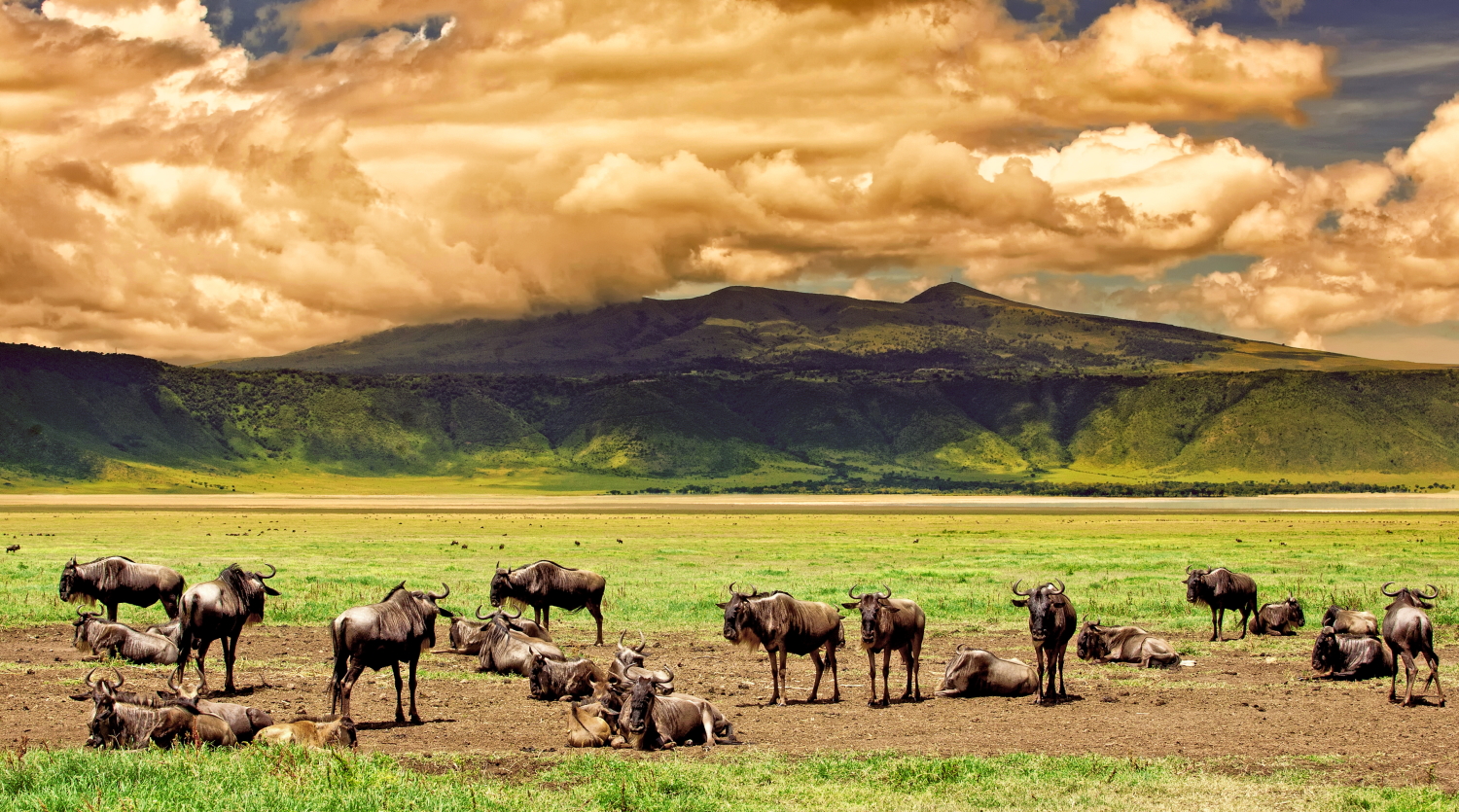 Sanctuary Ngorongoro Crater 5