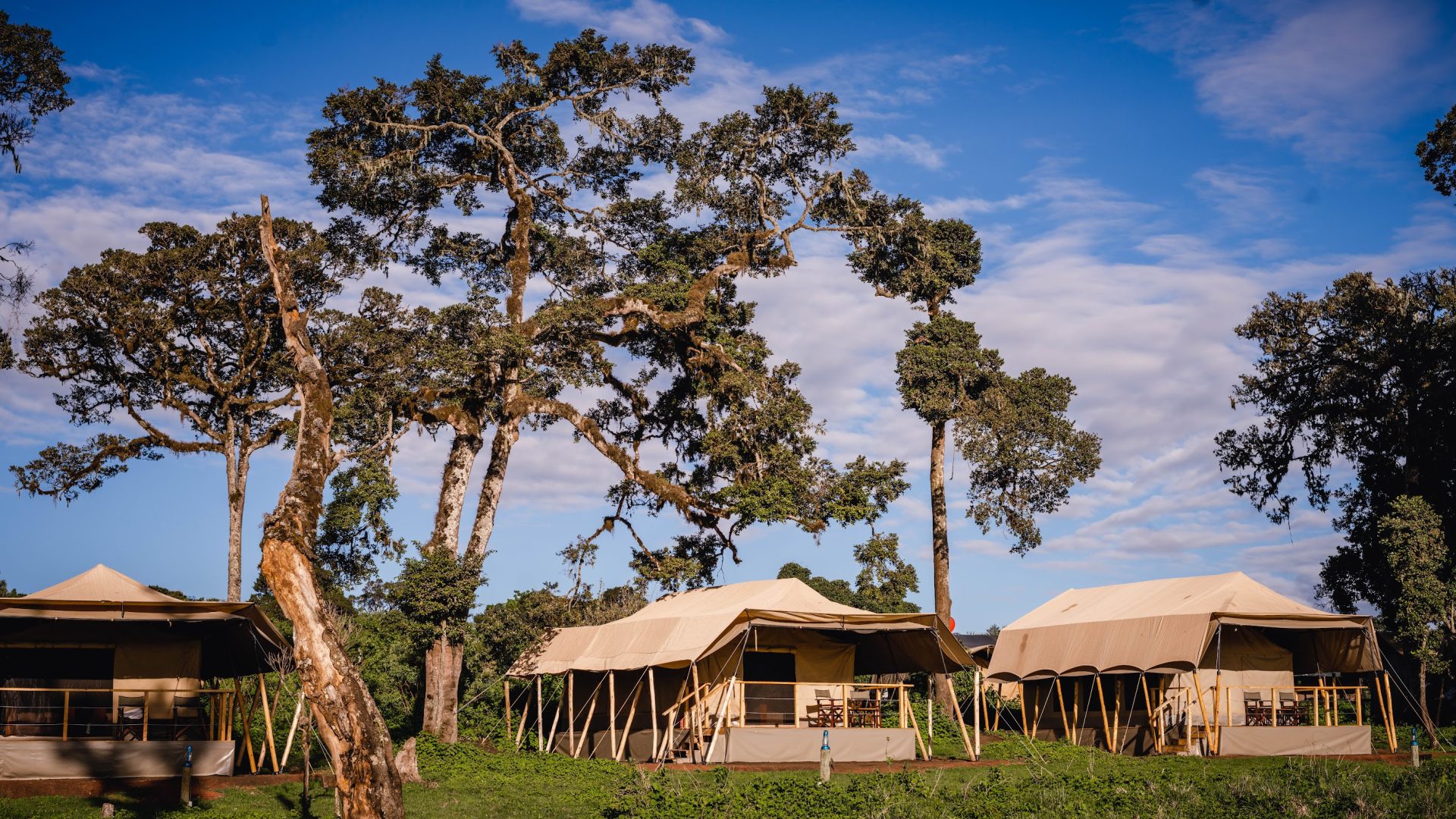 Ang'ata Ngorongoro Camp 7