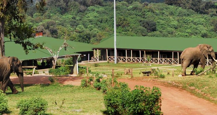 Rhino Lodge 2
