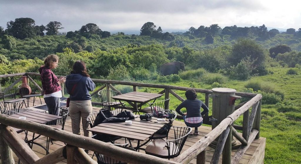 Rhino Lodge 4
