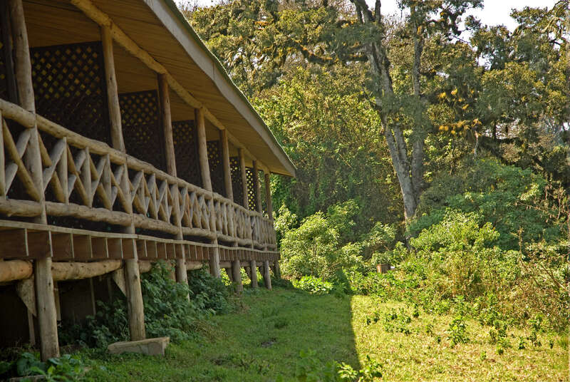 Rhino Lodge