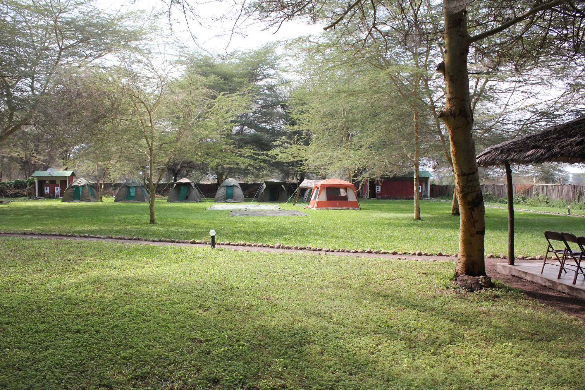 Lilac Campsite