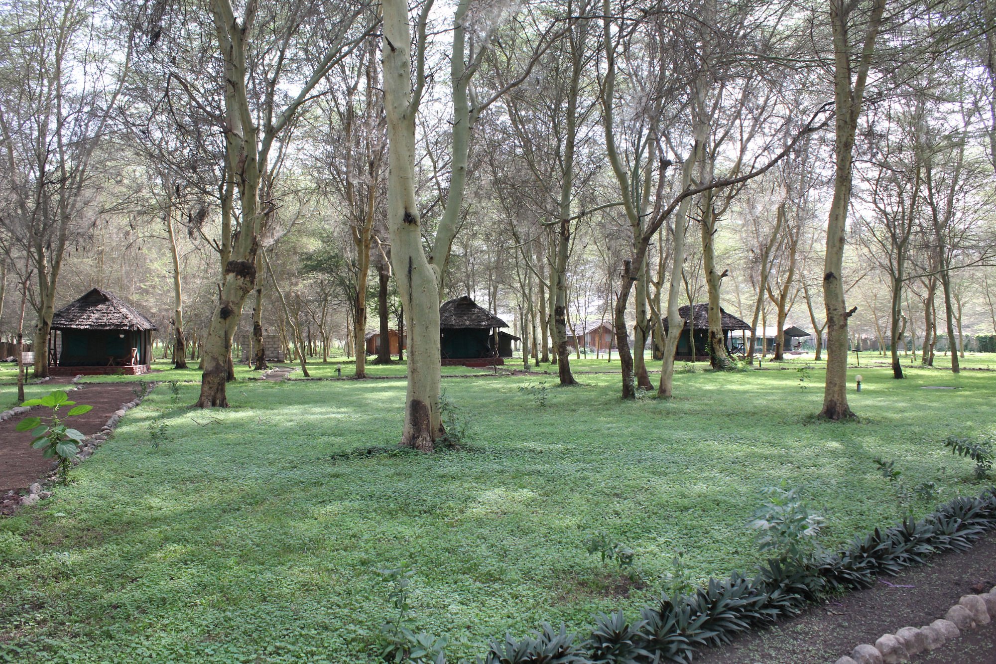 Lilac Campsite 3