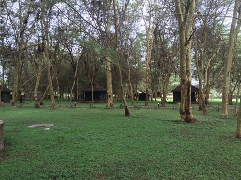 Lilac Campsite 5