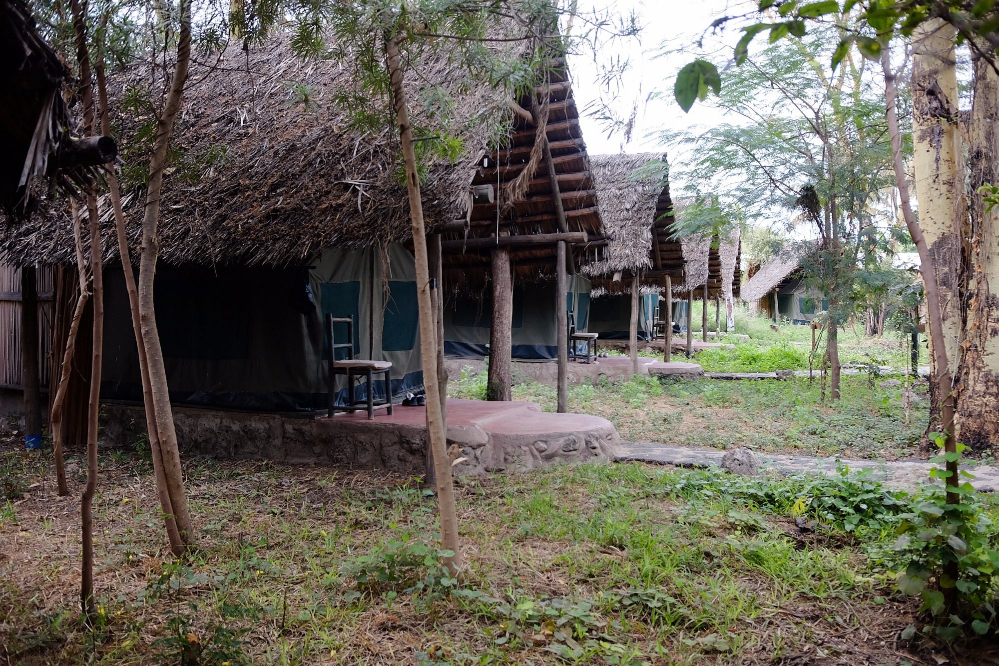 Sunbright Campsite 3