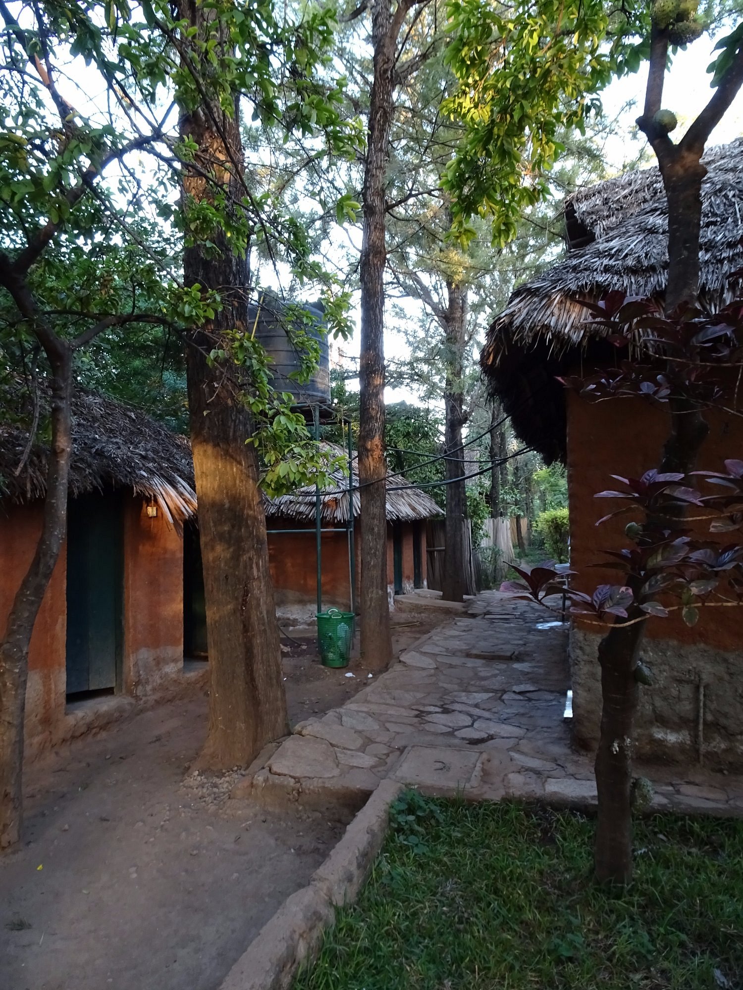 Sunbright Campsite 8