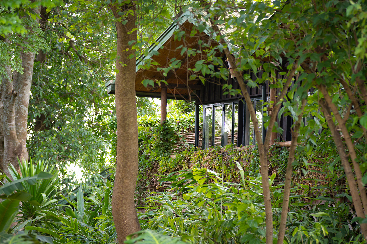 Gibb's Farm 6