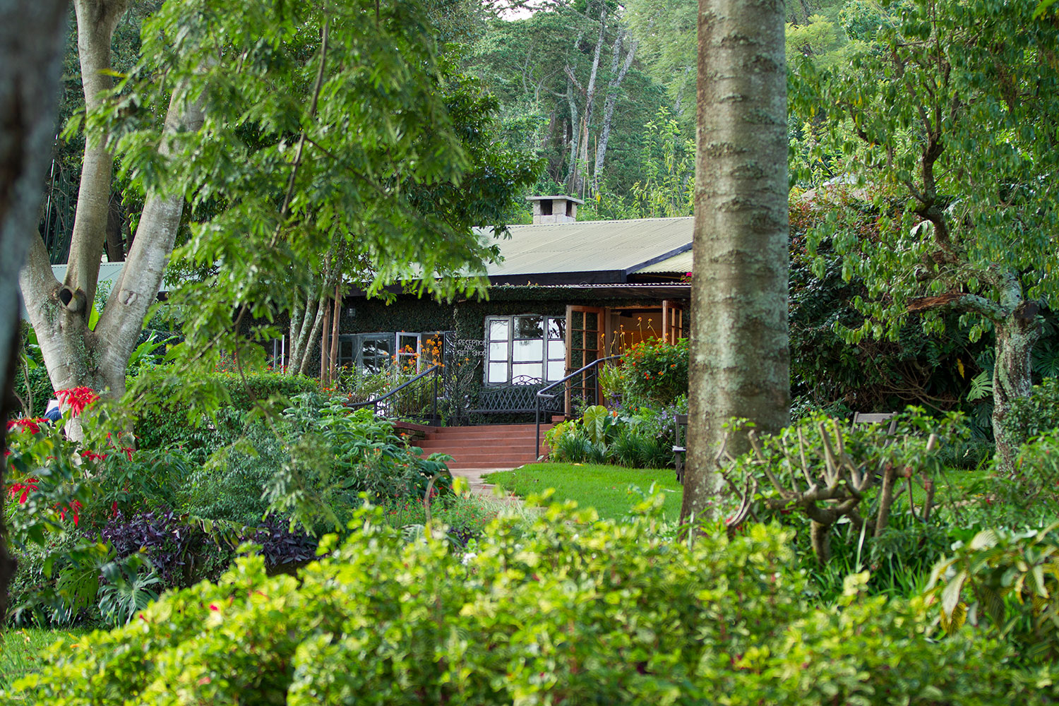 Gibb's Farm 7