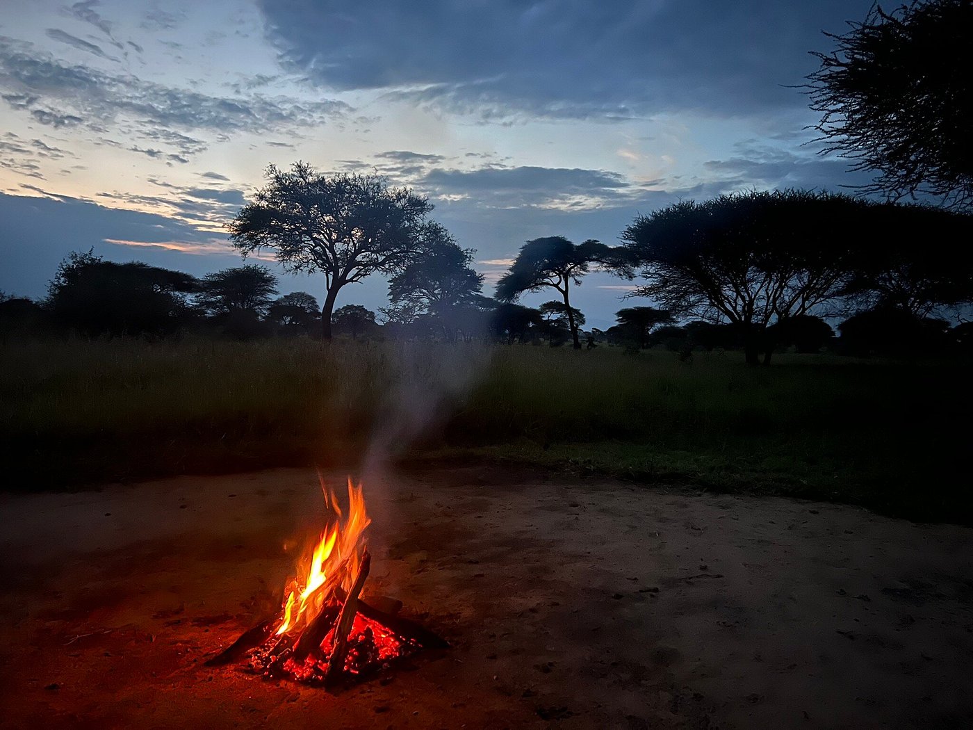 Honey Guide Tarangire Camp