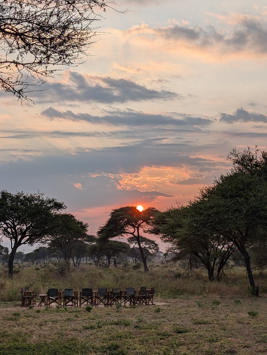 Honey Guide Tarangire Camp 5