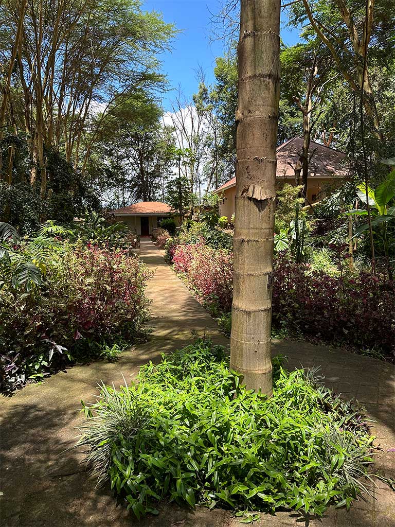 Eileen's Tree Inn 2
