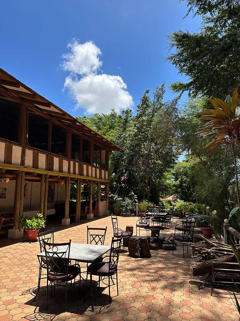 Eileen's Tree Inn 8