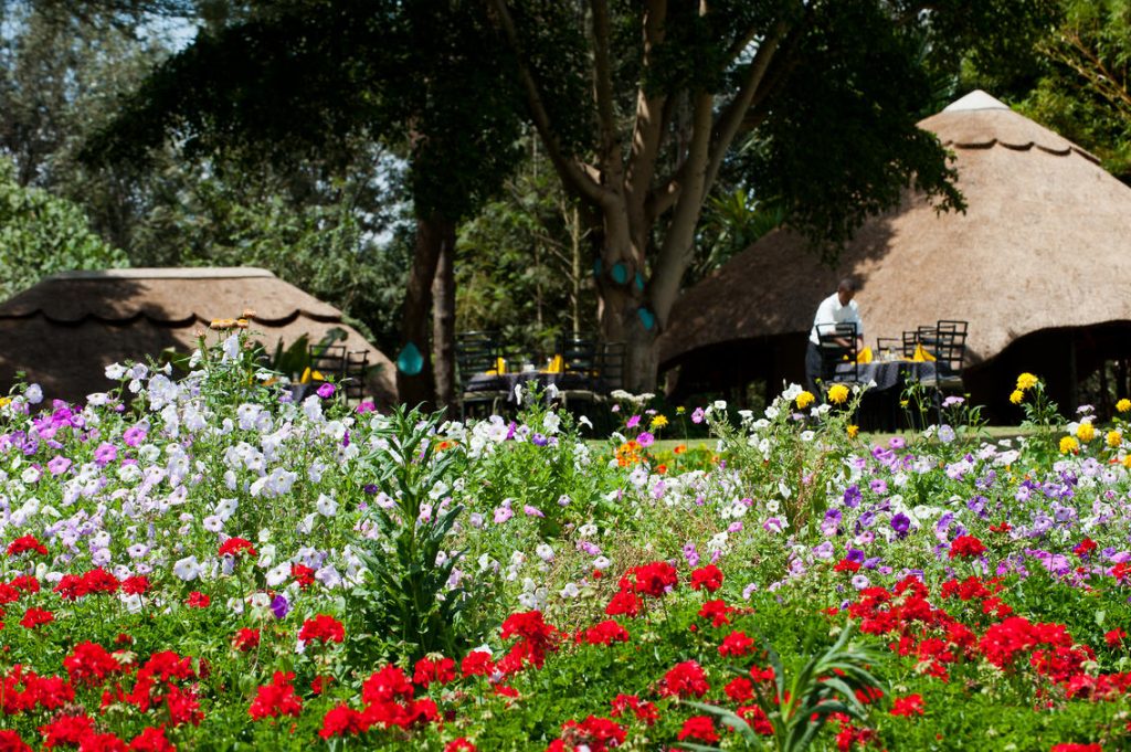 Ngorongoro Farm House 2