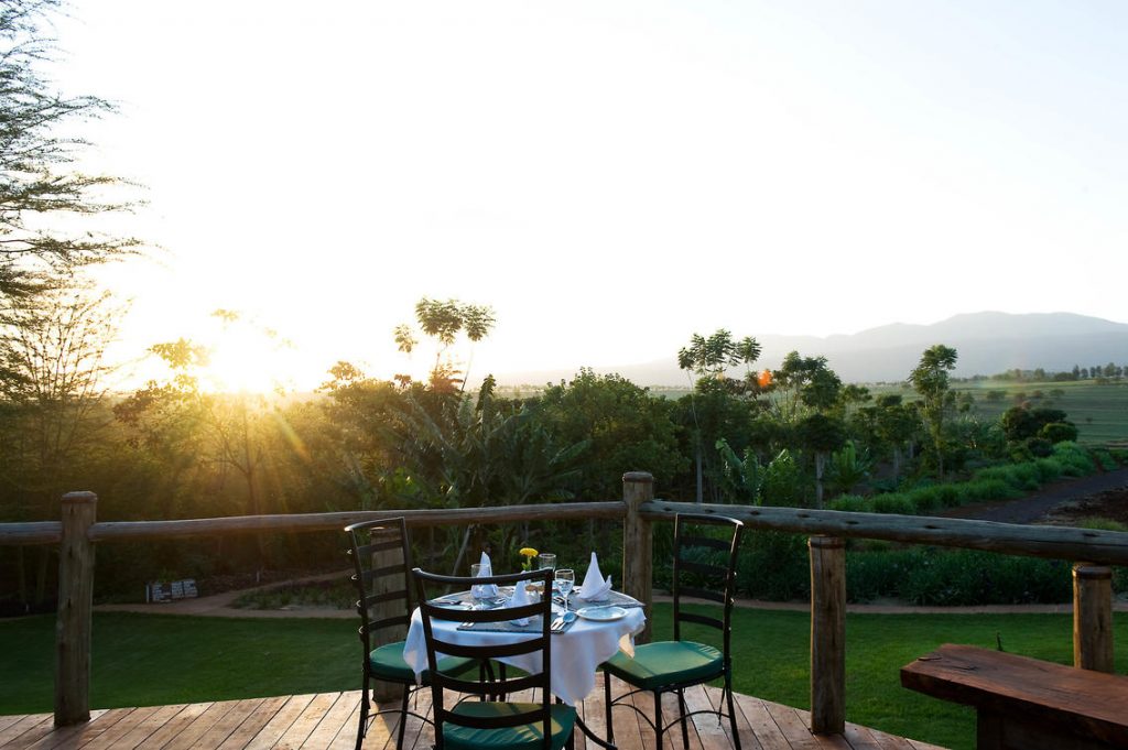 Ngorongoro Farm House 6