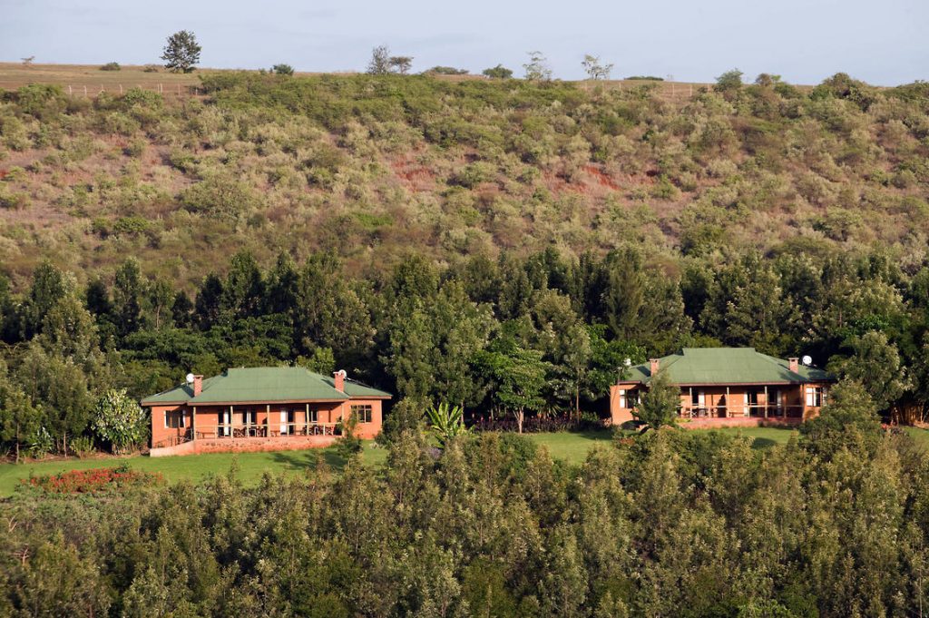 Ngorongoro Farm House 8