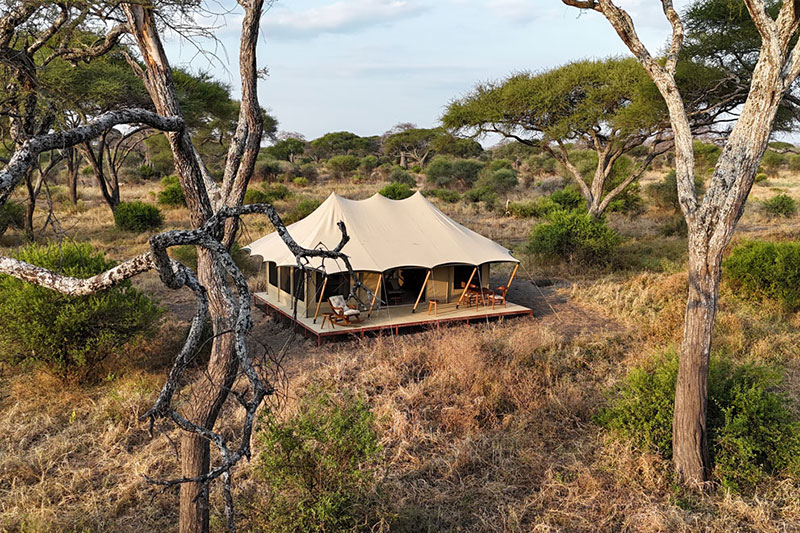 Tarangire Greenland Retreat 2