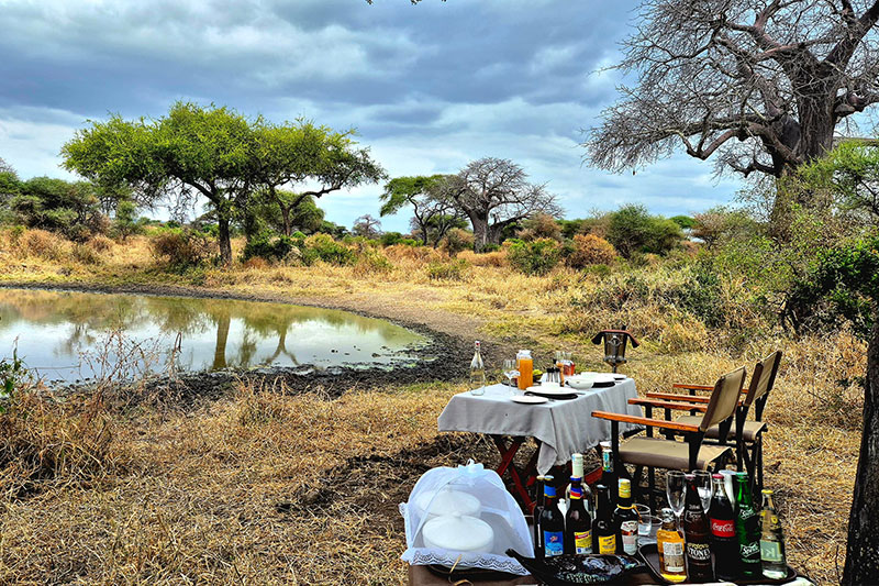 Tarangire Greenland Retreat 3
