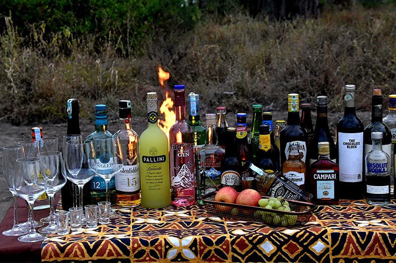 Tarangire Greenland Retreat 5