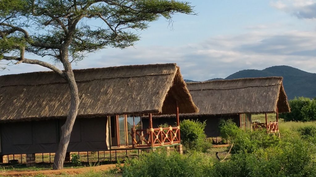 Tarangire Simba Lodge