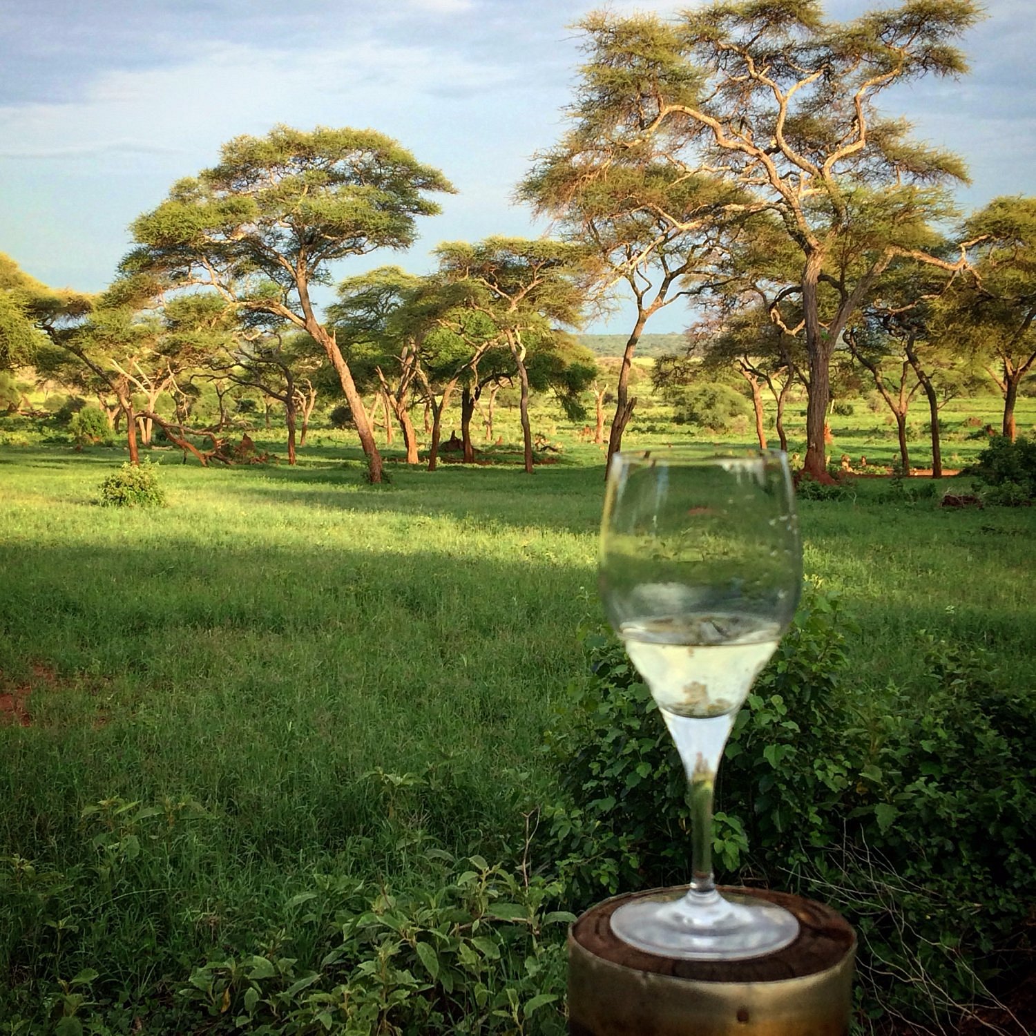 Swala Sanctuary Camp 14