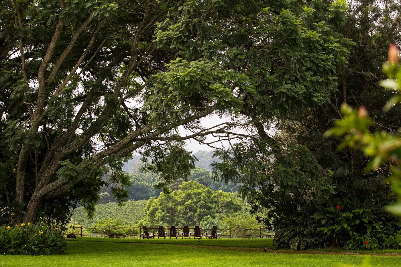 The Manor Ngorongoro